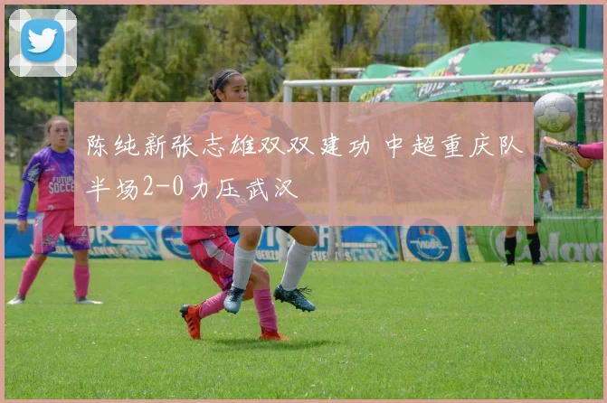 陈纯新张志雄双双建功 中超重庆队半场2-0力压武汉